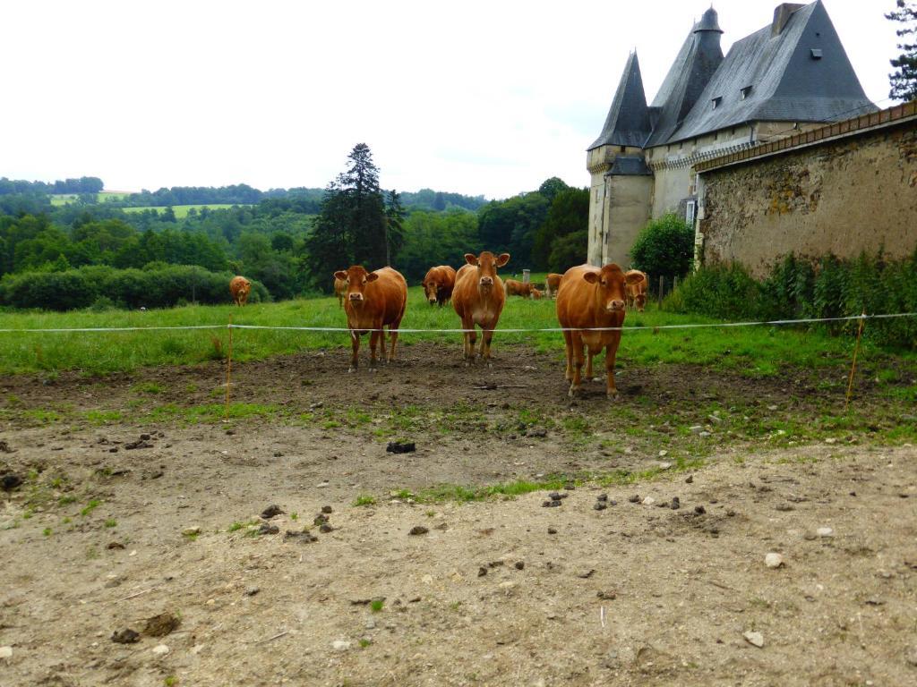 Chateau De Mavaleix Chalais  Exteriér fotografie
